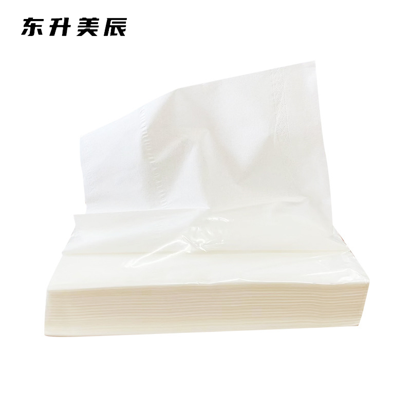 东升美辰 大尺寸软抽纸100包17*17cm DS-058 箱