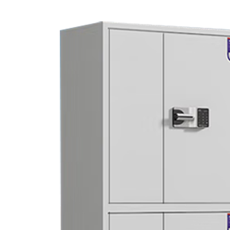 合祥源 QX-WJG173 保密柜密码文件柜 厚度0.8mm 900*420*1850mm 单位:组高清大图