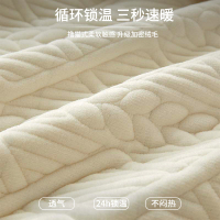 俏佳人抗菌牛奶绒床笠单件秋冬珊瑚绒夹棉床罩床单三件套保护罩