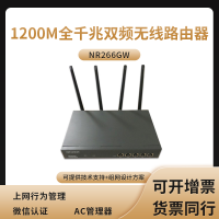 磊科(netcore)NR266GW 多WAN口1200M全千兆双频无线路由器上网行为管理 微信认证AC管理器