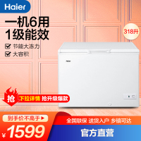 海尔 (Haier) 318升商用大冷冻柜 变温柜海尔冷柜BC/BD-318HD