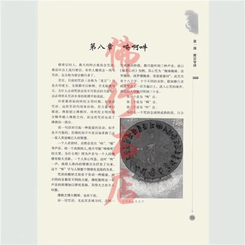 密宗信仰与修持 李居明著 华龄出版社 2010.01高清大图
