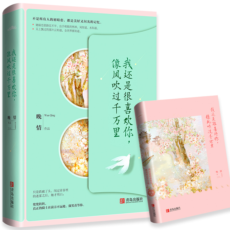 [醉染正版]我还是很喜欢你 像风吹过千万里 晚情著 小说青春文学现代言情爱情故事 刚刚好的女子 悦读纪高清大图