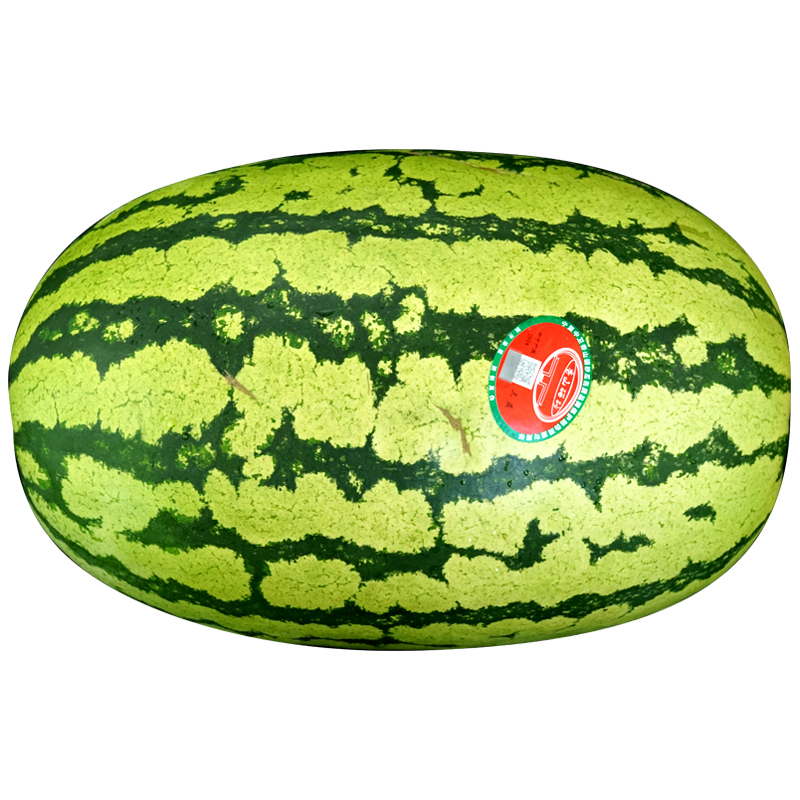 杞乐康中卫香山硒砂瓜原产地直发压砂瓜石头瓜富硒西瓜20斤