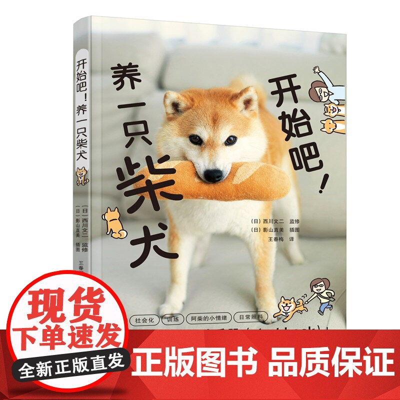 正版开始吧 养一只柴犬 柴犬饲养指南手册 辽宁科学技术出版社 日 西川文二 监修 训练柴犬 饮食食谱 宠物狗狗养护教材教高清大图