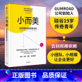 【正版】小而美：持续盈利的经营法则 做好小团队管理 维持企业持续经营 硅谷青年创业总结回顾 管理类书籍企业经营 出而