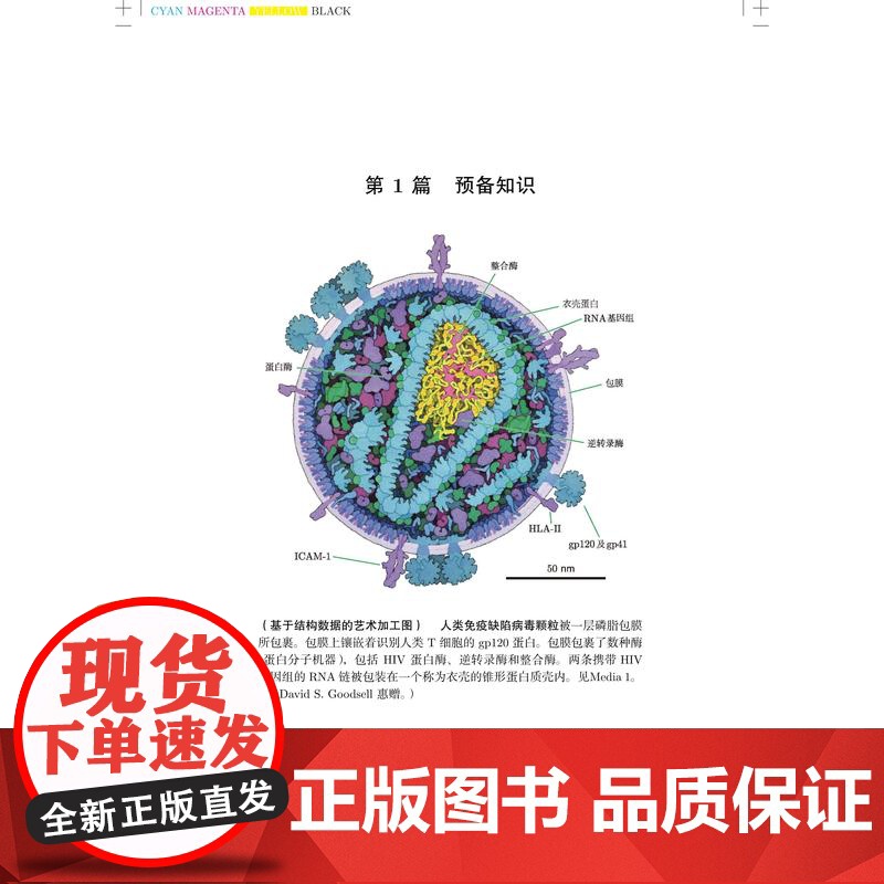 生命系统的物理建模概率模拟及动力学第二版 上海科技出版社将物理学思想方法融入生命科学研究改变生物物理学教学方式的经典教材高清大图