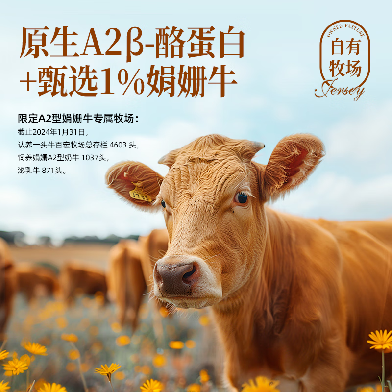 认养一头牛 蛋白A2β娟姗4.0g小金瓶纯牛奶 250ml*10盒高清大图