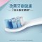 飞利浦(Philips)电动牙刷头 牙龈护理型清洁刷头3支装 适配HX6616/HX3226等型号 HX9033/67