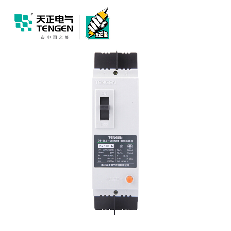 天正电气DZ15LE-100 5KA热磁式100A 2P 手动 固定式 220V 01020010008 塑壳漏电断路器