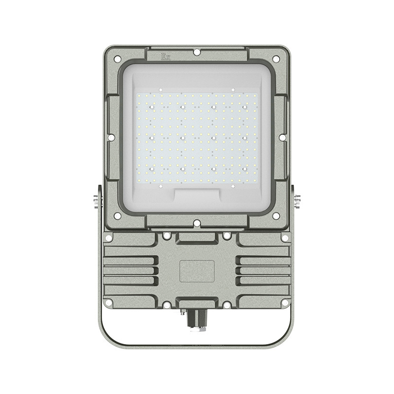 欧辉照明(OHUIZAOMIN) OHBF9193-100W AC220V白光/5700K LED防爆灯1盏/套单位:套 灰色高清大图