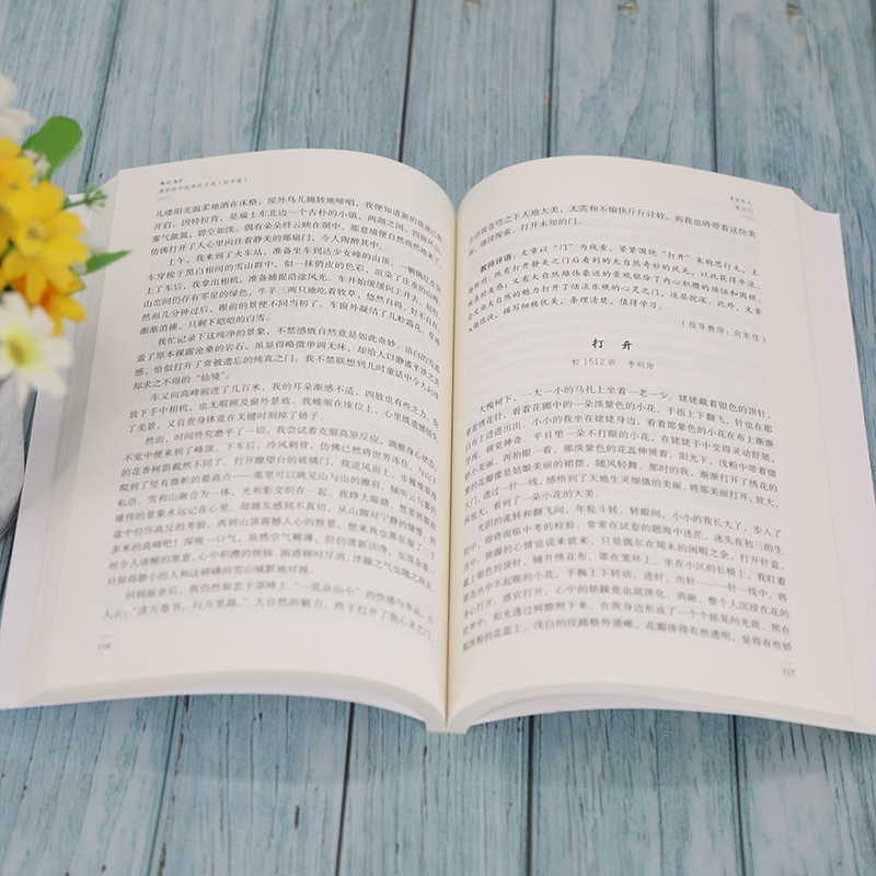 语文 [正版]新书 雏凤清声:清华附中作文选 初中卷 邱晓云 作文书初中 语文作文 高分范文 高中 记叙文