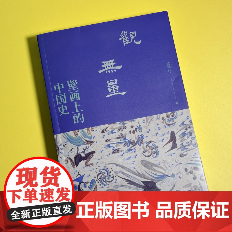 观无量 壁画上的中国史 苗子兮 著 一部由壁画传承的纪传体中国史 读懂壁画深处的中国历史 北京大学出版社 观我生高清大图