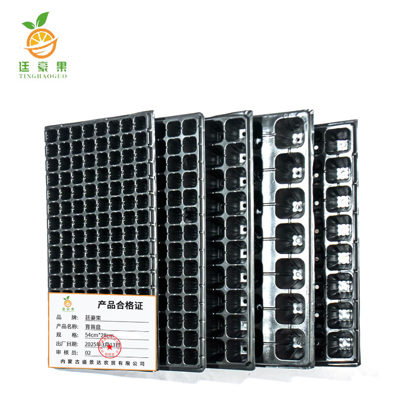 廷豪果 育苗盘 54cm*28cm 200片/箱高清大图