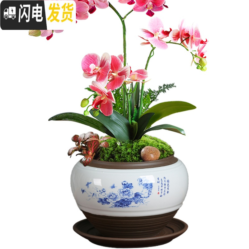 三维工匠陶瓷蝴蝶兰专用景德镇花盆君子兰盆景多肉绿植盆栽青花瓷绿萝 [单盆]青花瓷718花盆(荷花) 中等花盆容器