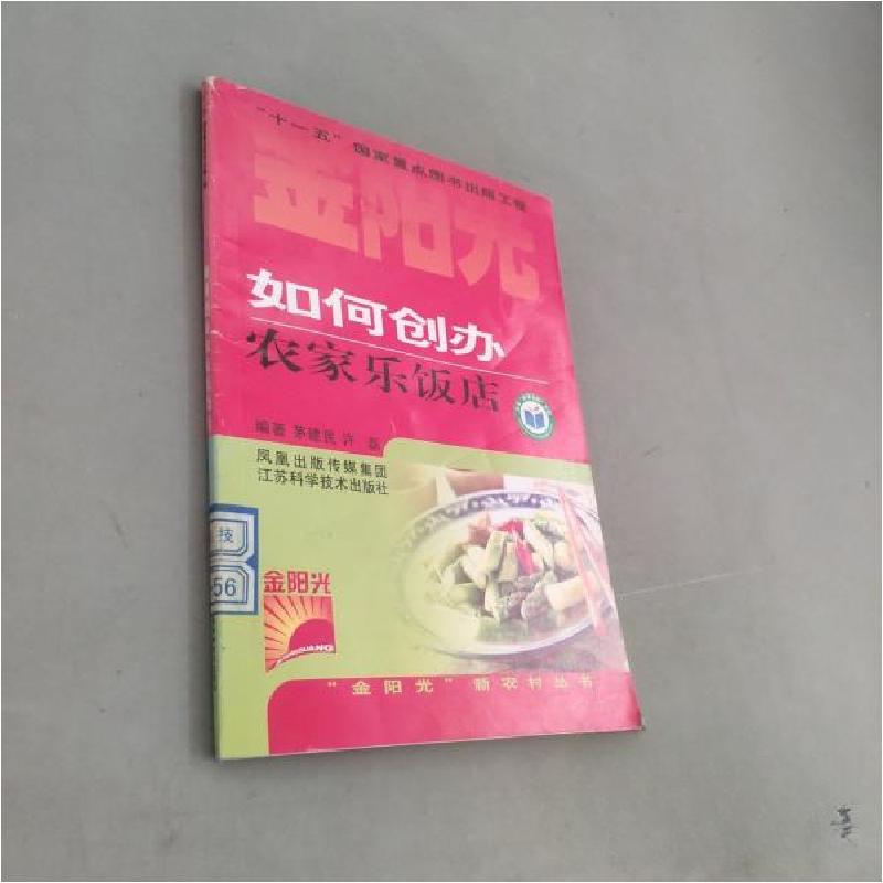 正版新书]如何创办农家乐饭店茅建民、许磊 编著9787534558573高清大图