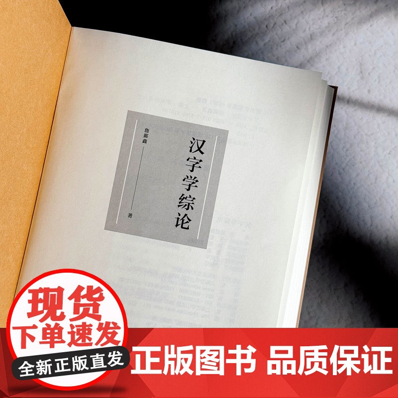 汉字学综论 詹鄞鑫著 汉字研究 汉字的起源和演变 汉字学研究个案介绍 汉字文化 精装 正版 华东师范大学出版社高清大图