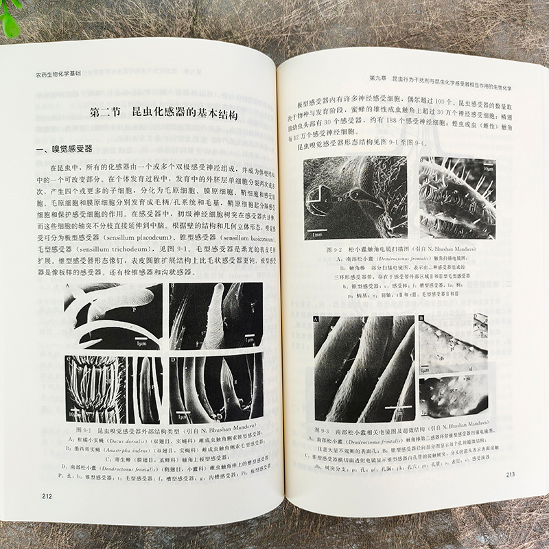 [正版]农药生物化学基础 万树青 化学农药毒理学的生物化学机理 农药代谢选择毒性 创制新农药和毒理 杀虫剂杀菌剂高清大图