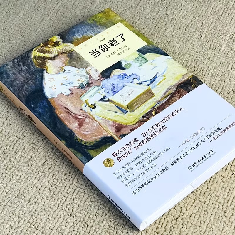 [正版]当你老了叶芝诗选诗集原著完整无删减外国诗歌诺贝尔文学奖书系北京理工大学出版社叶芝抒情诗选爱情诗歌集世界文学名著书高清大图