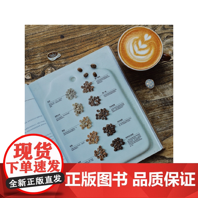 世界咖啡地图第2版 修订第二版 詹姆斯霍夫曼著 咖啡圣经 咖啡迷想收藏的指南 咖啡豆 咖啡基础 虹吸壶 中信出版社图高清大图