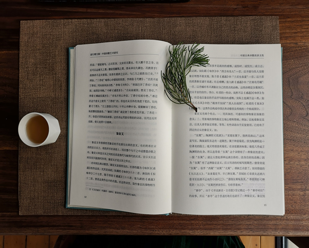[正版]保证 愈庐论诗 中国古典文学大家袁行霈诗词赏析作品集,全新校勘高清大图