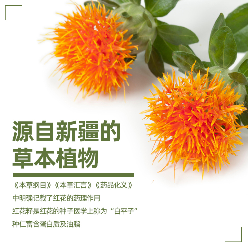 戈壁工坊新疆红花籽油500ml食用油家用老人健康