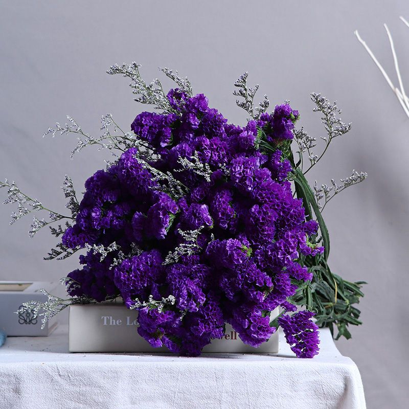 云南天然干花花束勿忘我大束情人草水晶草满天星家居摆设装饰鲜花13支