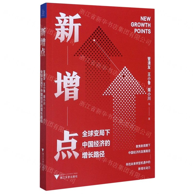 【N】新增点(全球变局下中国经济的增长路径)-9787308206402
