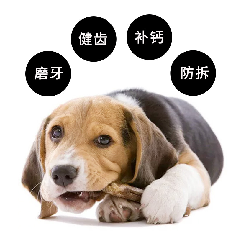 味当家狗狗零食牛骨健齿骨大型犬磨牙棒耐咬狗骨头补钙训狗奖励大骨头牛棒骨