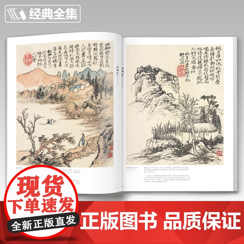 2020新书 石涛画集 8开中国画临摹画册书籍技法教材花卉竹山水书sh高清大图