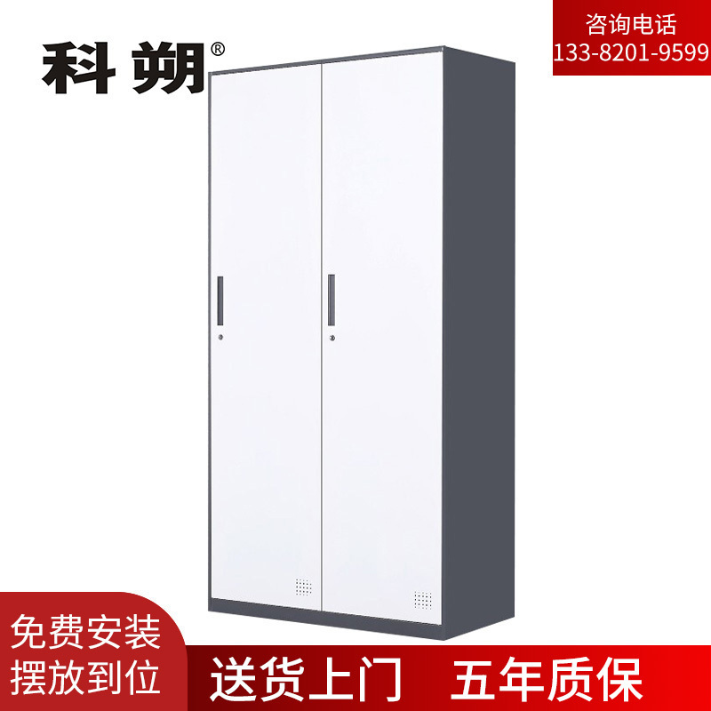 科朔文件柜两门更衣柜钢柜钢制办公室更衣柜铁皮更衣柜储物柜KS-G001 500深2门柜