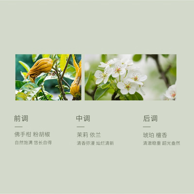 半亩花田 香氛沐浴露400g(庭院茉莉)高清大图