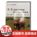 牛羊高效生态养殖与疫病防控新技术 王富贵 付荣顺 刘芳 皇甫晓鹏 鲁俊廷 编 9787511669773 中国农牛