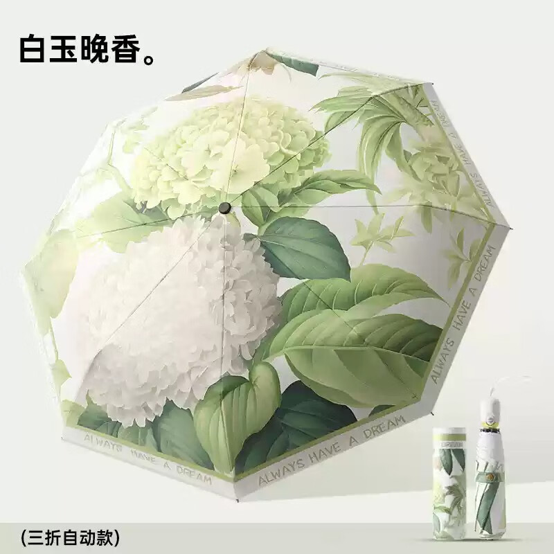 美度(MAYDU)晴雨两用黑胶清新插画遮阳伞自动折叠伞