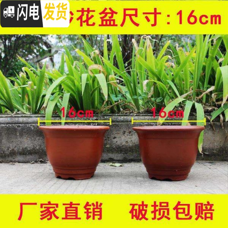 三维工匠粗陶花盆 大口径 家用红陶紫砂 陶瓷特大号兰花陶土 红紫砂15cm口径2个(已售空) 大花盆容器高清大图