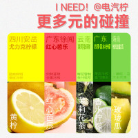 柠檬共和国(Lemon Republic)气泡果汁饮料300ml*12瓶(芭乐*6+香水柠檬*6)