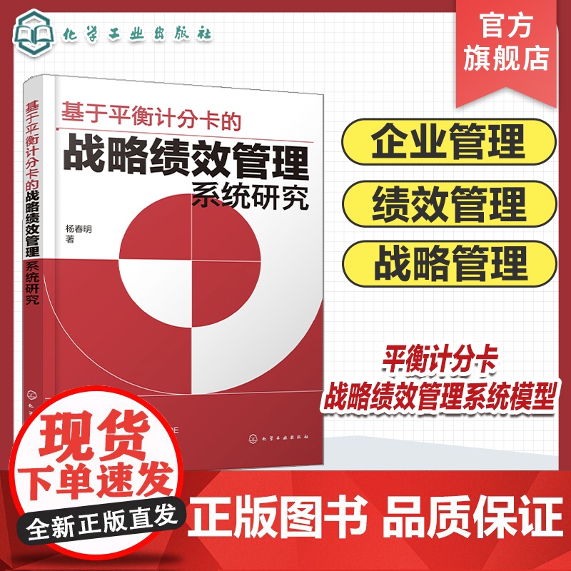 基于平衡计分卡的战略绩效管理系统研究 战略绩效管理系统设计与实证研究 高等院校人力资源管理 工商管理 企业管理等专业应用高清大图