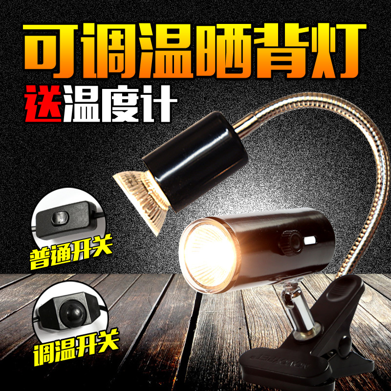 乌龟晒背灯UVA+UVB3.0太阳灯 爬虫加热灯+调温灯架全光谱晒龟灯高清大图