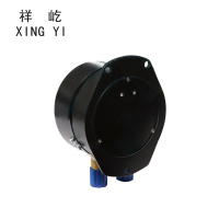 祥屹 双针双管压力表 YCS100-II 24V 台