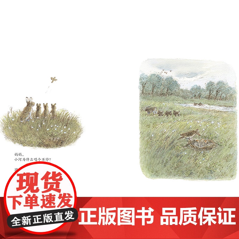 妈妈为什么硬壳精装图画书蒲蒲兰绘本谷川俊太郎作品一本诗的绘本关于爱关于希望关于勇气关于未来4岁5岁6岁7岁8岁儿童阅读正高清大图