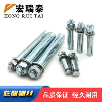 宏瑞泰 膨胀螺丝 M12*110 个