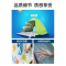 魅扣帐篷户外2秒速开全自动手抛双人休闲防晒郊游遮阳篷儿童沙滩帐篷