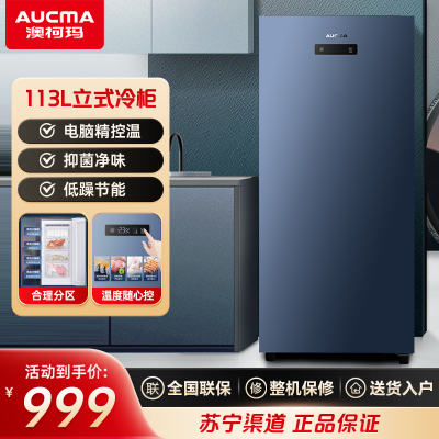 澳柯玛家用立式冷柜BD-113EVH冷冻低温时尚家用侧开门冰柜电脑控温储奶小冰箱
