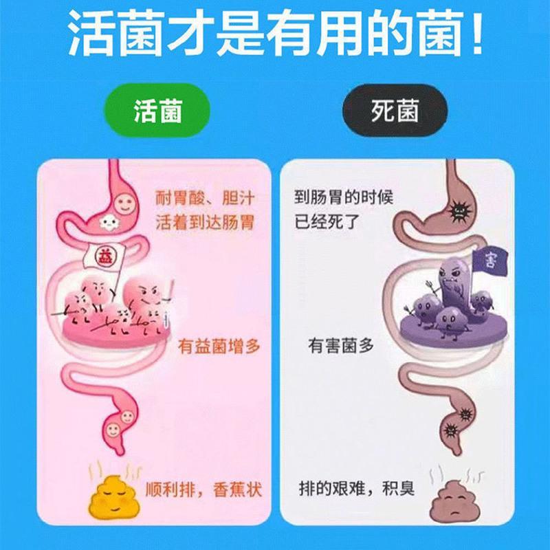 益生菌咀嚼片100粒肠道便秘益生菌冻干粉儿童成人肠胃好轻松 一 盒 体验 款(100片)