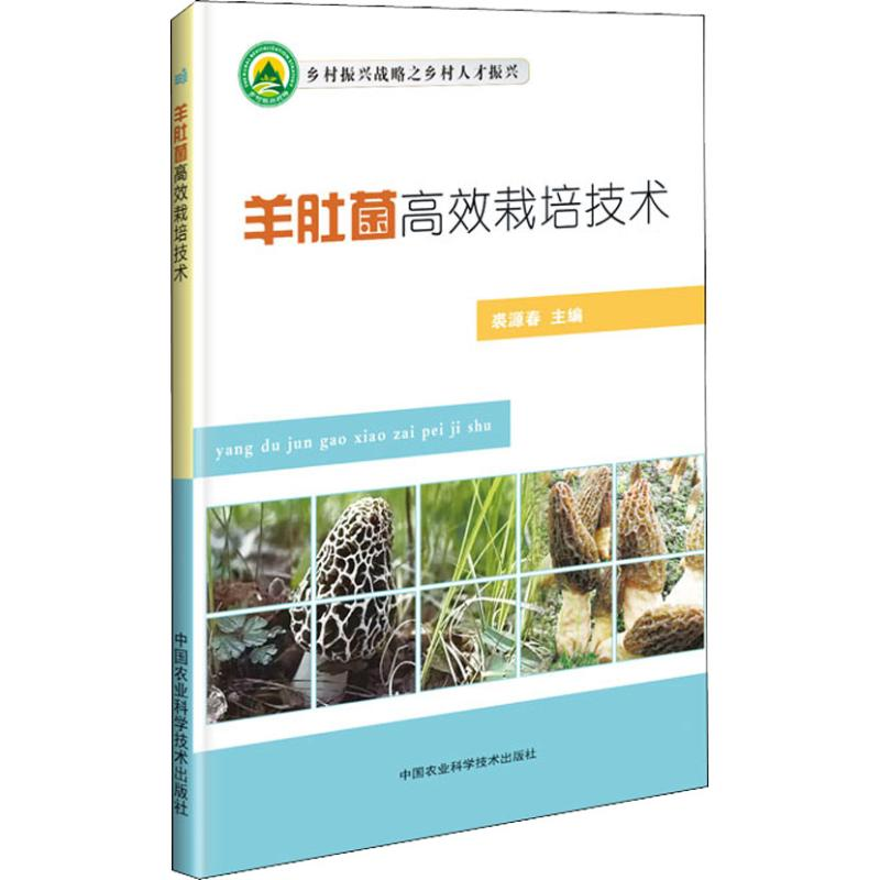 【M】羊肚菌高效栽培技术-9787511638458