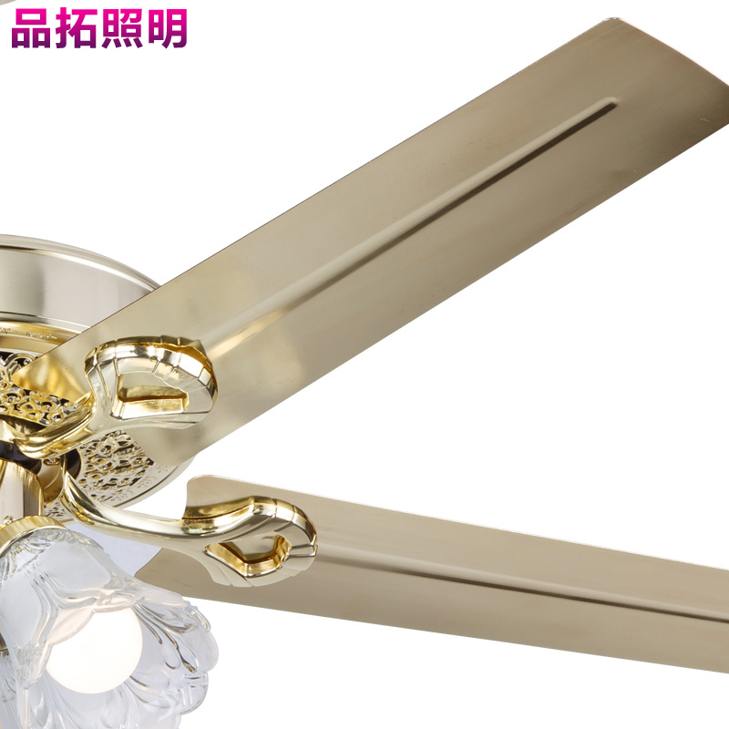 Grevol品拓PINTUOLED风扇灯吊扇灯简约现代吸顶灯铁艺时尚餐厅客厅卧室灯具遥控壁控线控吊扇灯灯具灯饰15M2