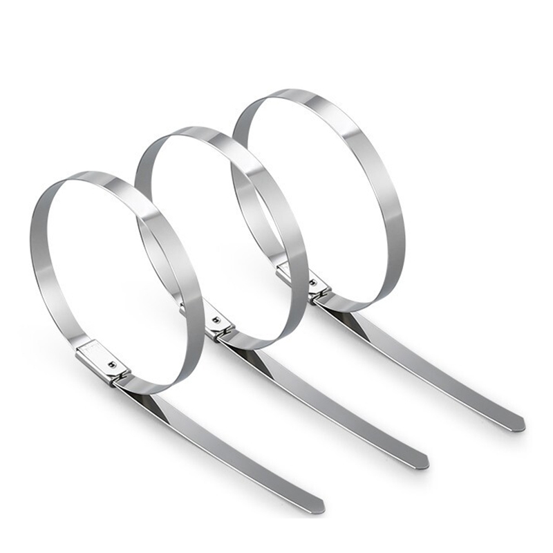 万梓 不锈钢扎带 10*700mm 根