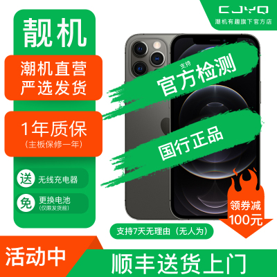 【二手95新】Apple iPhone12Promax 石磨黑色 256GB 苹果12PM 国行全网通 正品