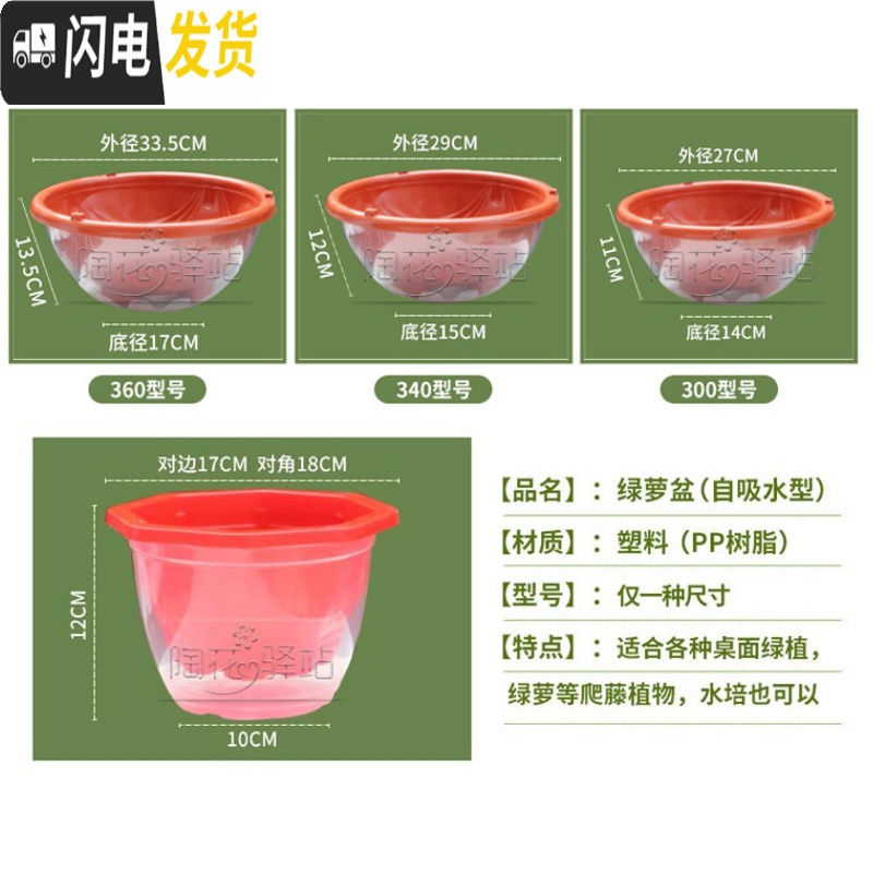 三维工匠花盆大号塑料透明罩懒人自动吸水花盆绿萝专用储水双层 大红340花盆+透明罩+棉绳 大花盆容器高清大图