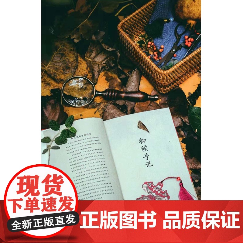 物候手记 绿手指文化创意手账笔记本 72副物候美图 72首古典诗词 520礼遇记 礼物女生高清大图